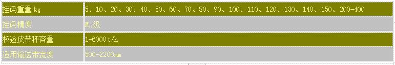 SYGM型挂码校验装置 电子皮带秤校验设备 计量散状物料